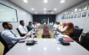 City Council Directs HDC To Enforce Safety Railings On Hulhumale Phase 2 Towers