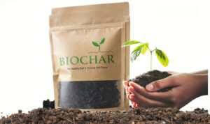 Maldivian Business Introduces Biochar Product to Support Sustainable Agriculture