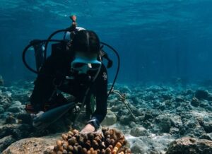 Soneva Jani becomes Maldives’ first resort recognised as OECM